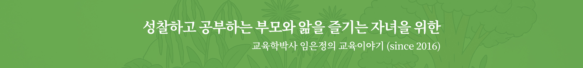 칼럼