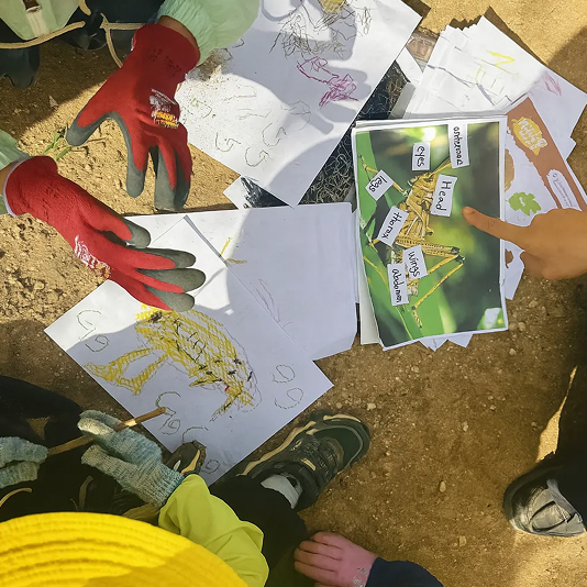 숲 영어