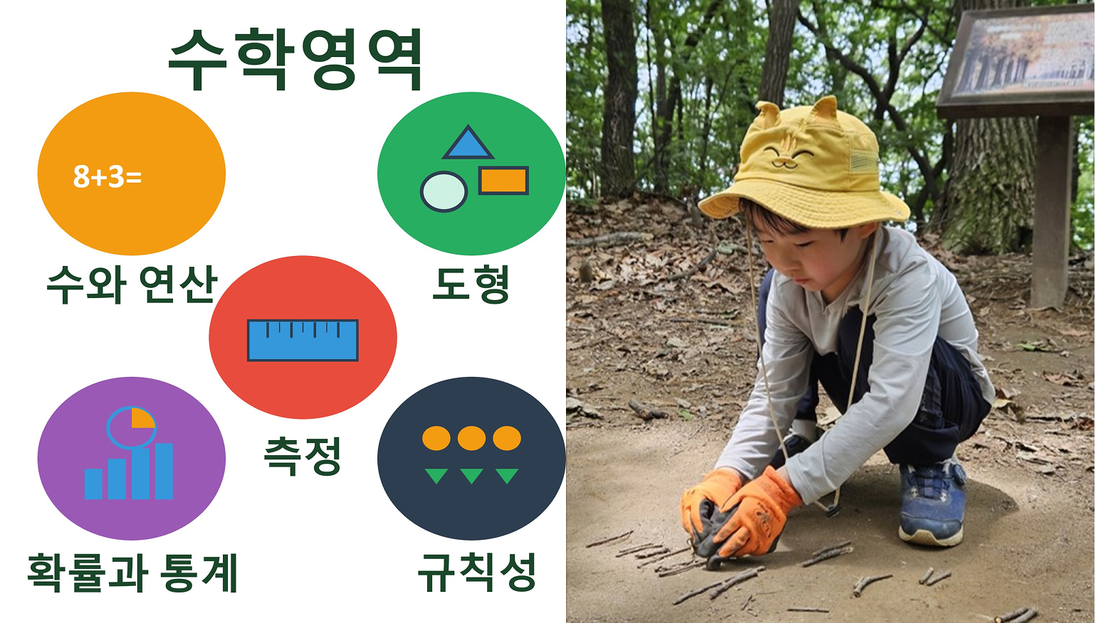 숲 수학 숲 수학