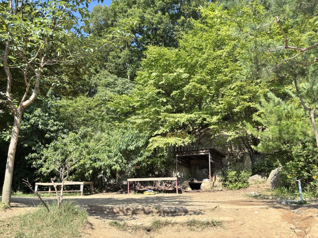 4층 숲 놀이터