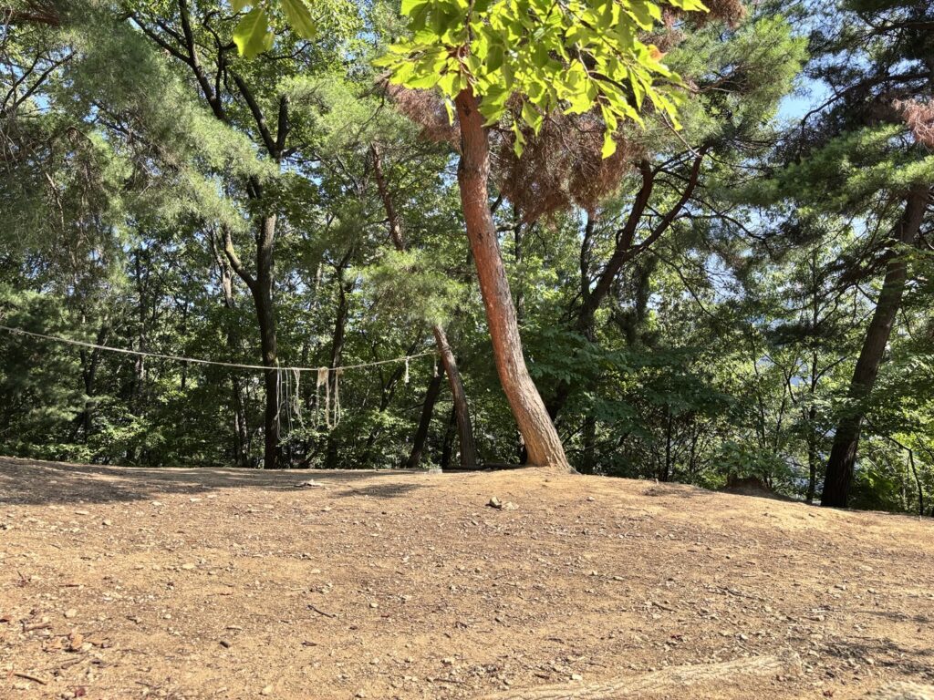 5층 숲 놀이터